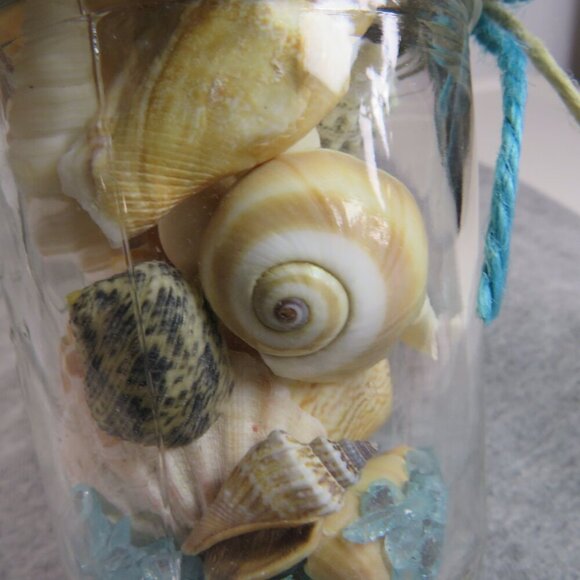 Jar of REAL sea shells with blue sparkly vase filler at bottom - Picture 7 of 8